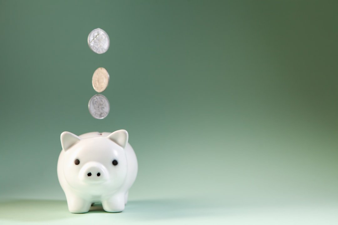 piggy bank and coins. saving money for business